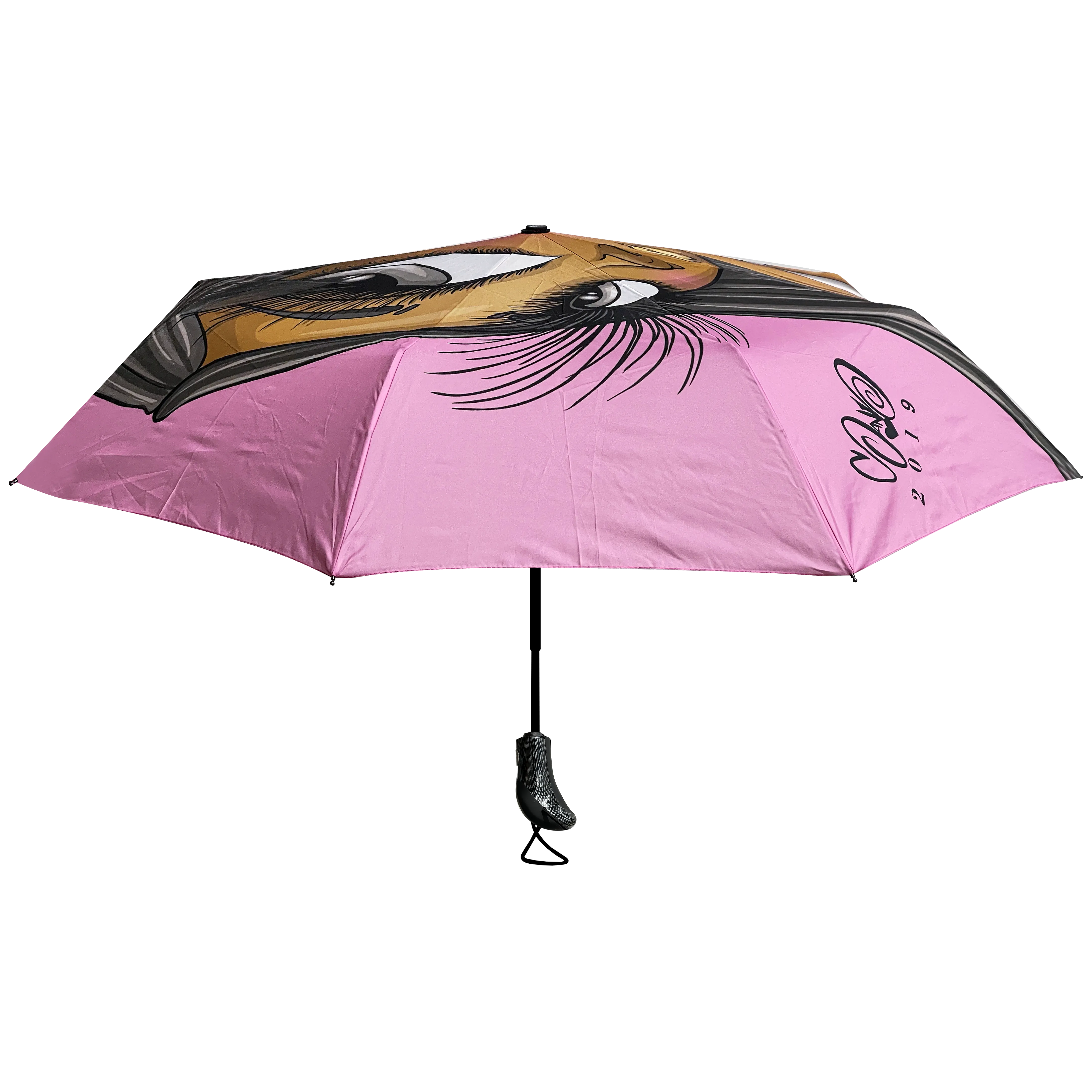 Compact Umbrellas 2020