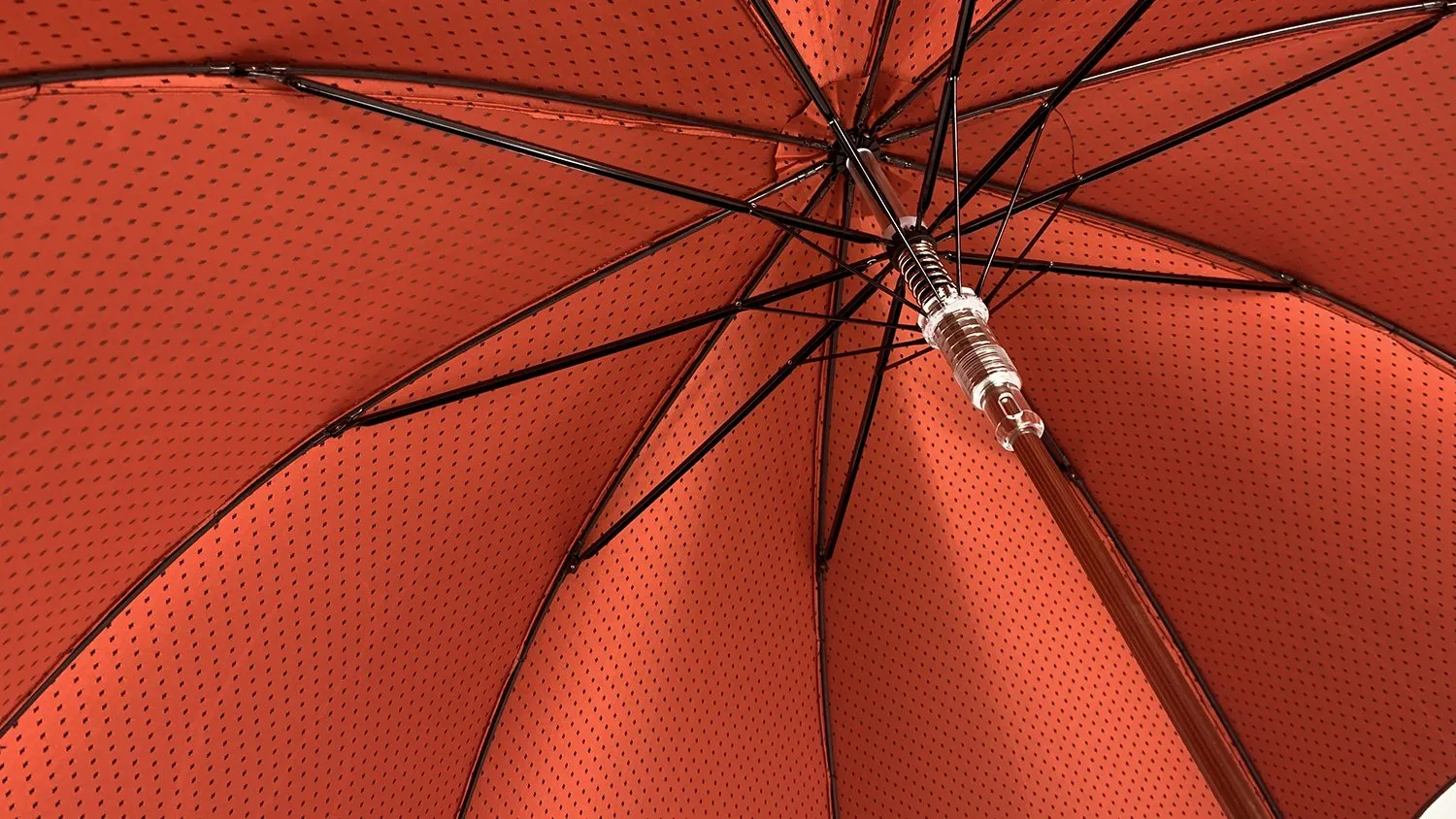 Elegant Burgundy Dot's Umbrella