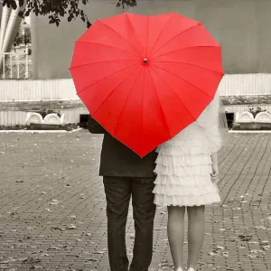 Heart Umbrella