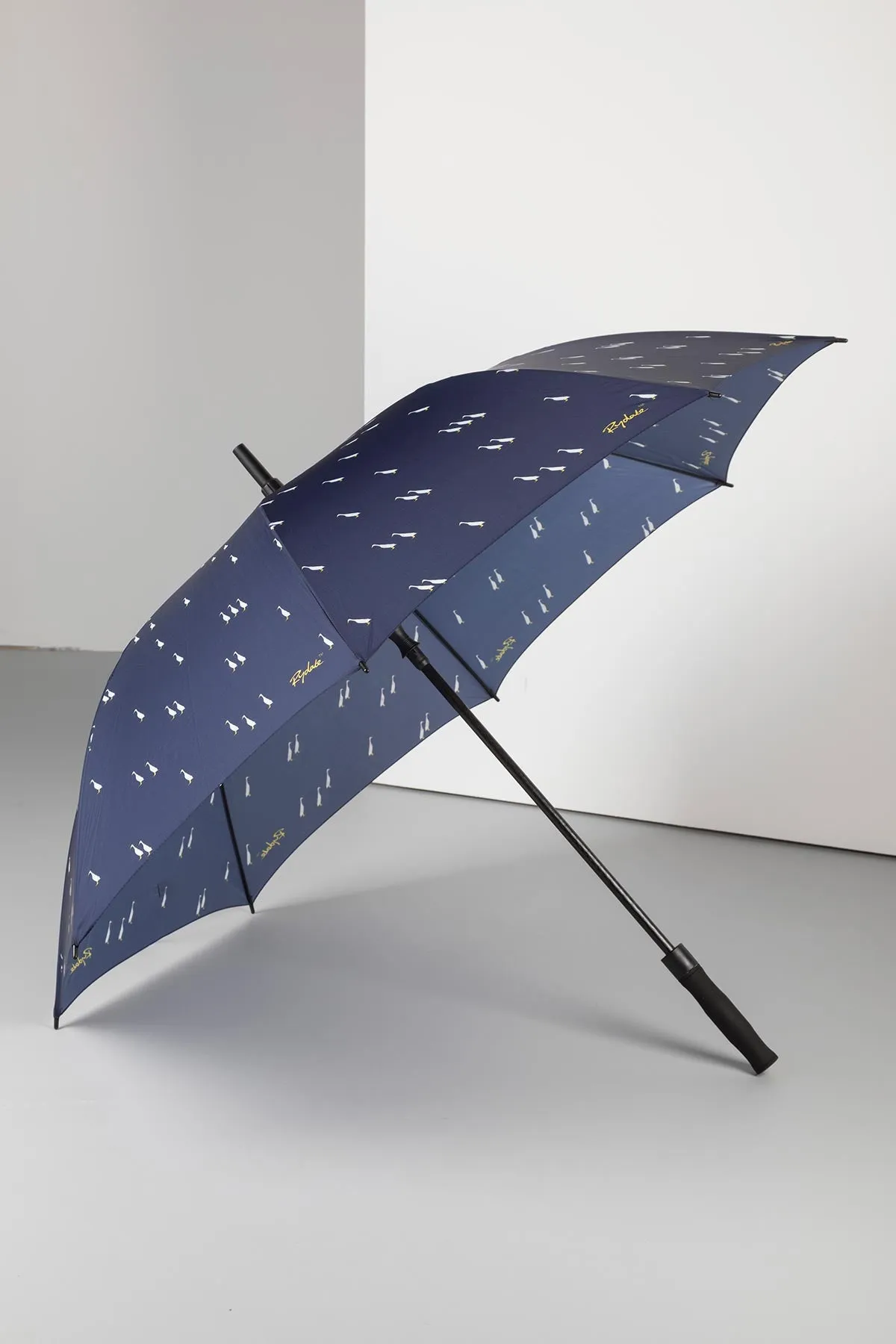 Large Umbrella