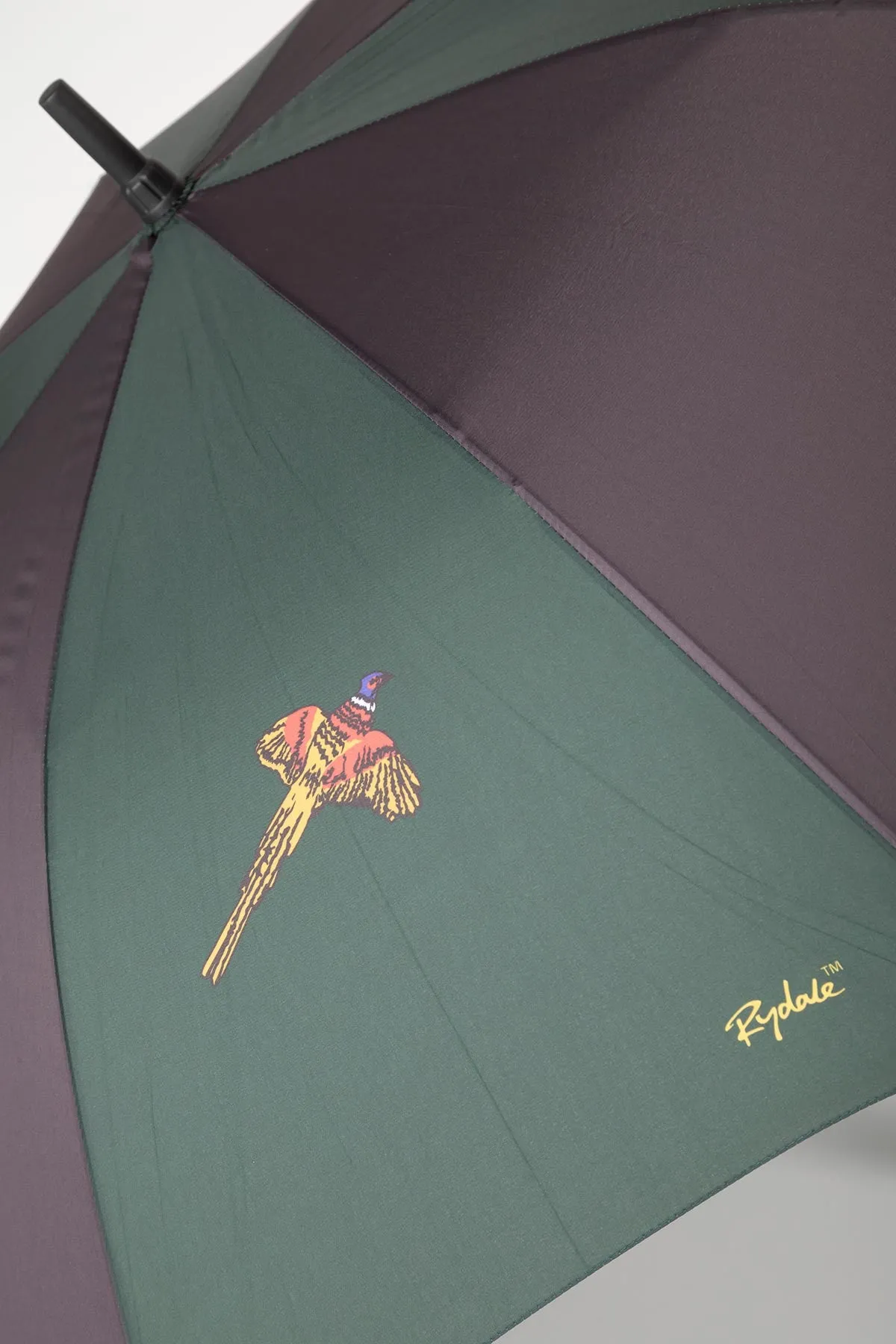 Large Umbrella